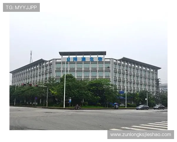 凯时网址官方网站最新入口，安全稳定的登录体验推荐