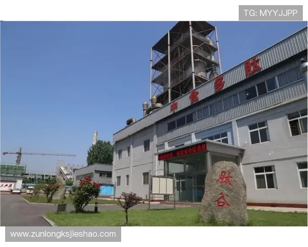 尊龙z6集团：人才战略与企业文化建设促进企业长远发展的核心要素