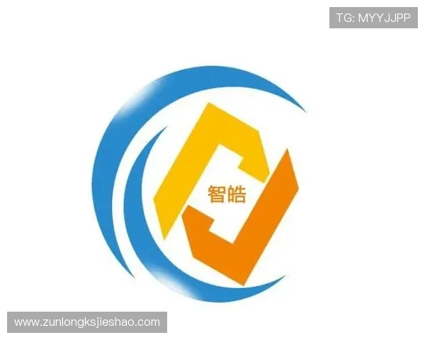 探索尊龙凯时旗舰厅登录线路的多样化功能，提高游戏体验与安全性