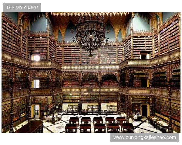 D88尊龙会员积分兑换与升级技巧,帮助你最大化利用会员权益提升游戏乐趣 D88尊龙会员积分兑换与升级技巧,帮助你最大化利用会员权益提升游戏乐趣