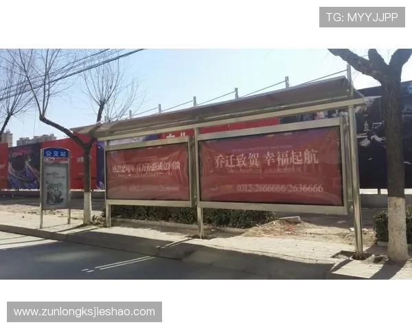 尊龙d88会员登录安全保障措施及账号保护策略全面解析