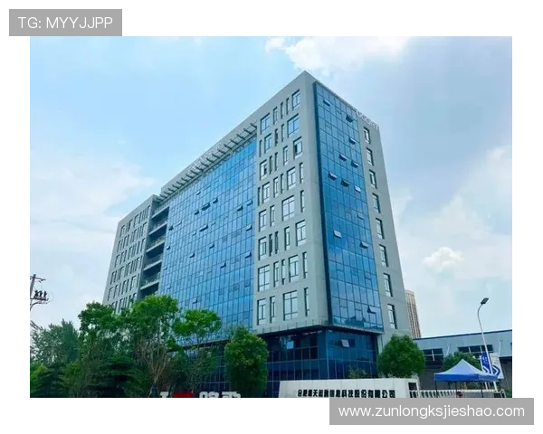凯时集团官网客户服务中心全面介绍,提供专业的在线客服支持与用户权益保障措施 凯时集团官网客户服务中心全面介绍,提供专业的在线客服支持与用户权益保障措施