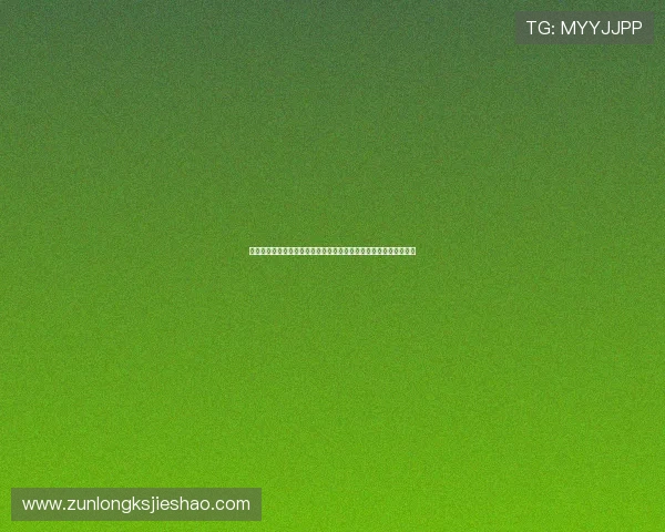 新西兰与伊朗主教练执教经验及战术策略在世界杯中的实际应用对比 新西兰与伊朗主教练执教经验及战术策略在世界杯中的实际应用对比